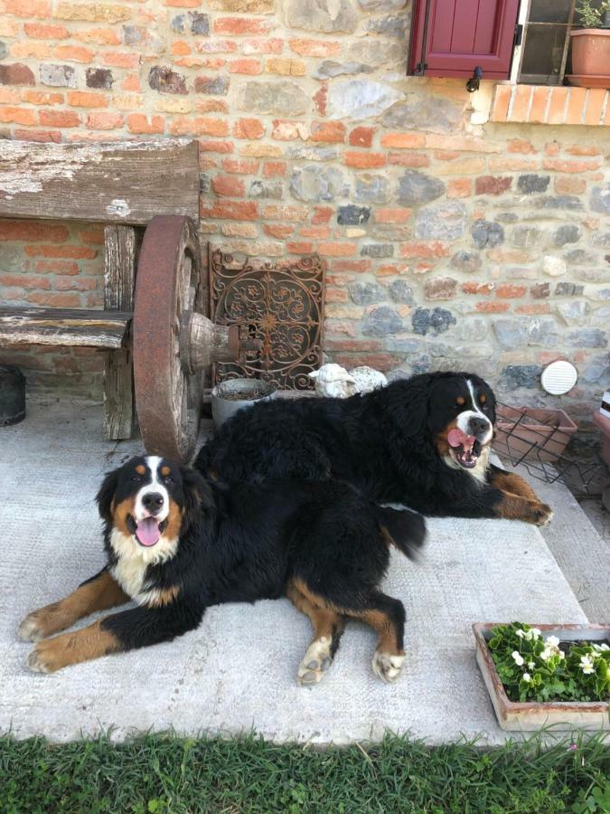 New Flowers Farm B&B Noceto Εξωτερικό φωτογραφία
