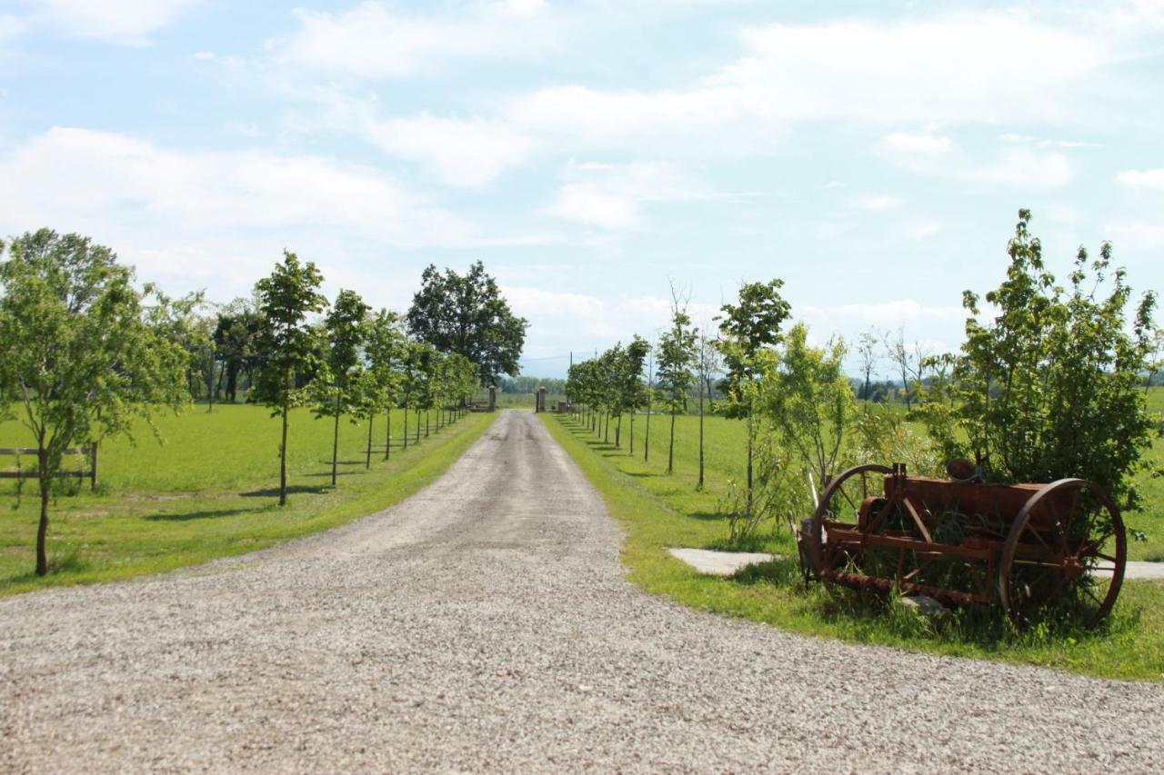New Flowers Farm B&B Noceto Εξωτερικό φωτογραφία